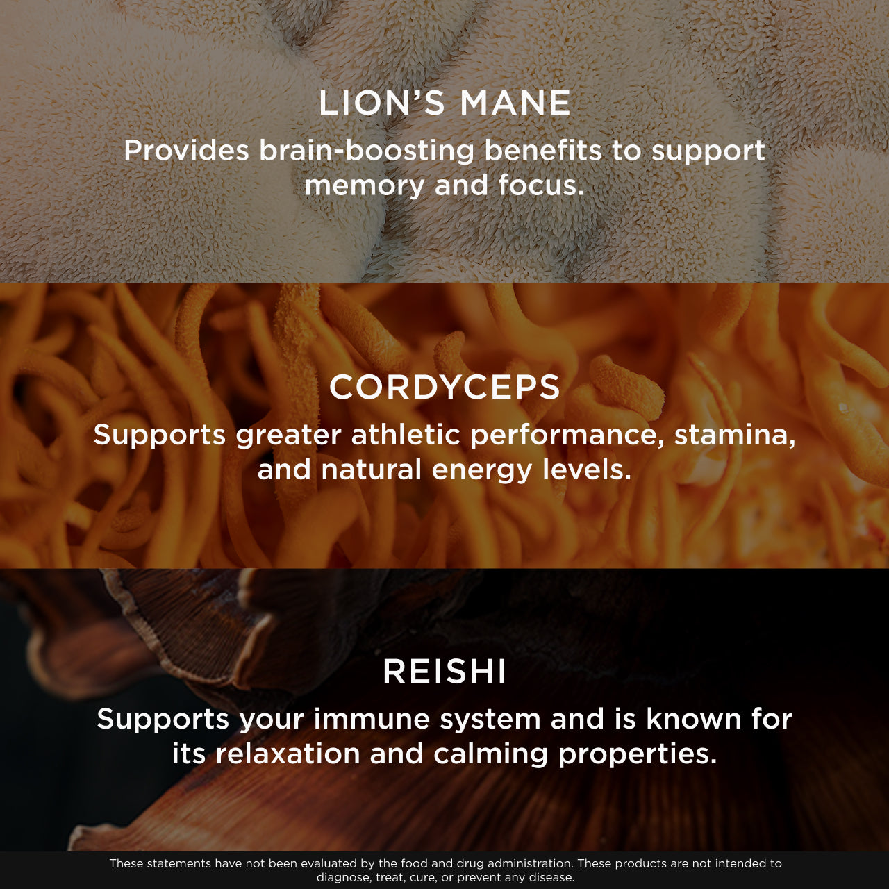 Text overlay on images of lion's mane, cordyceps, and reishi mushrooms with their health benefits.