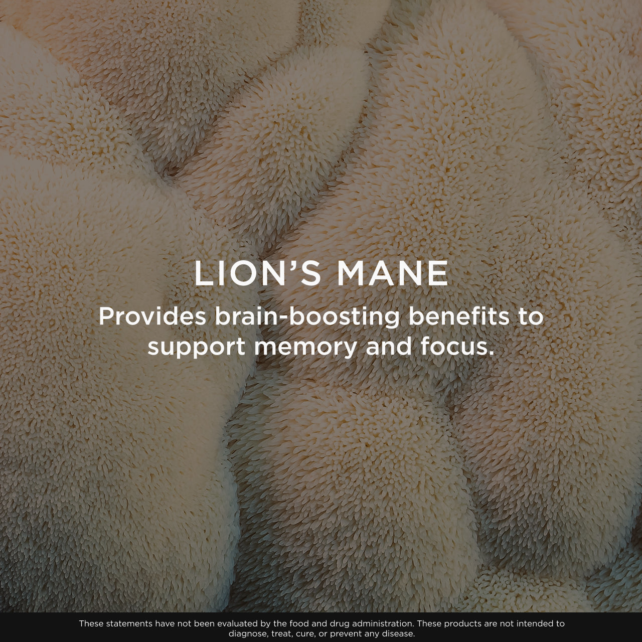 Close-up of lion's mane mushroom with text about brain-boosting benefits.
