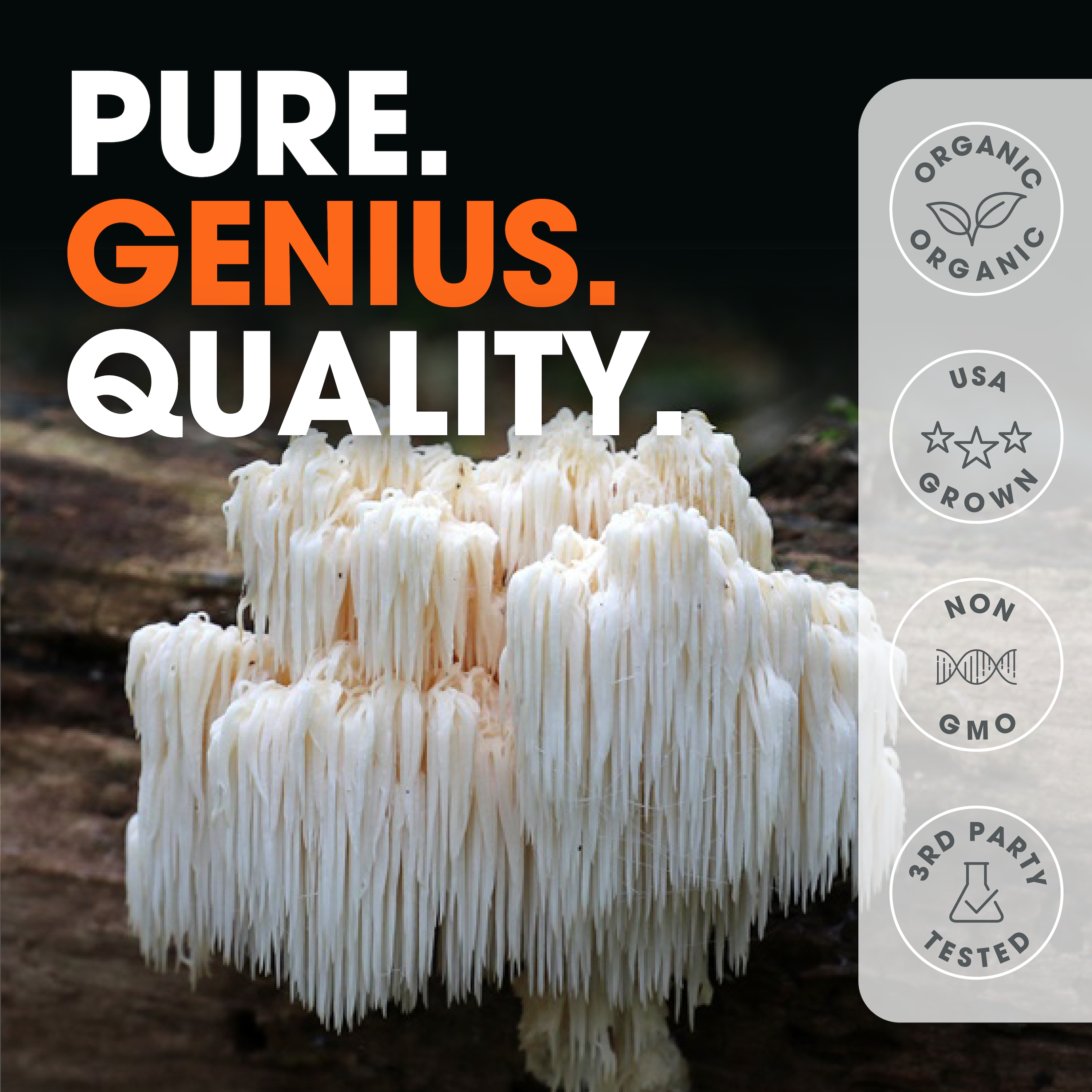Genius Lion's Mane