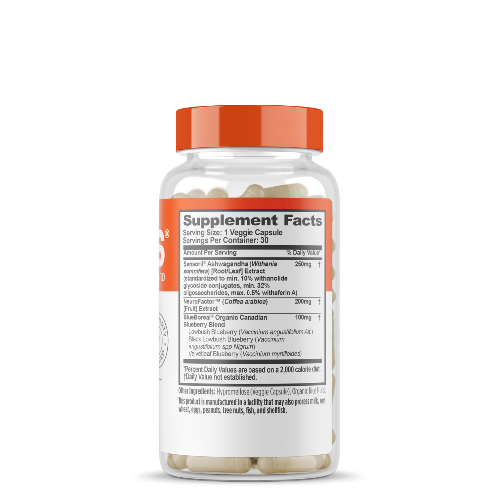 Genius Mindfulness for Focus and Stress Management