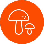 Farm-to-Bottle Integrity