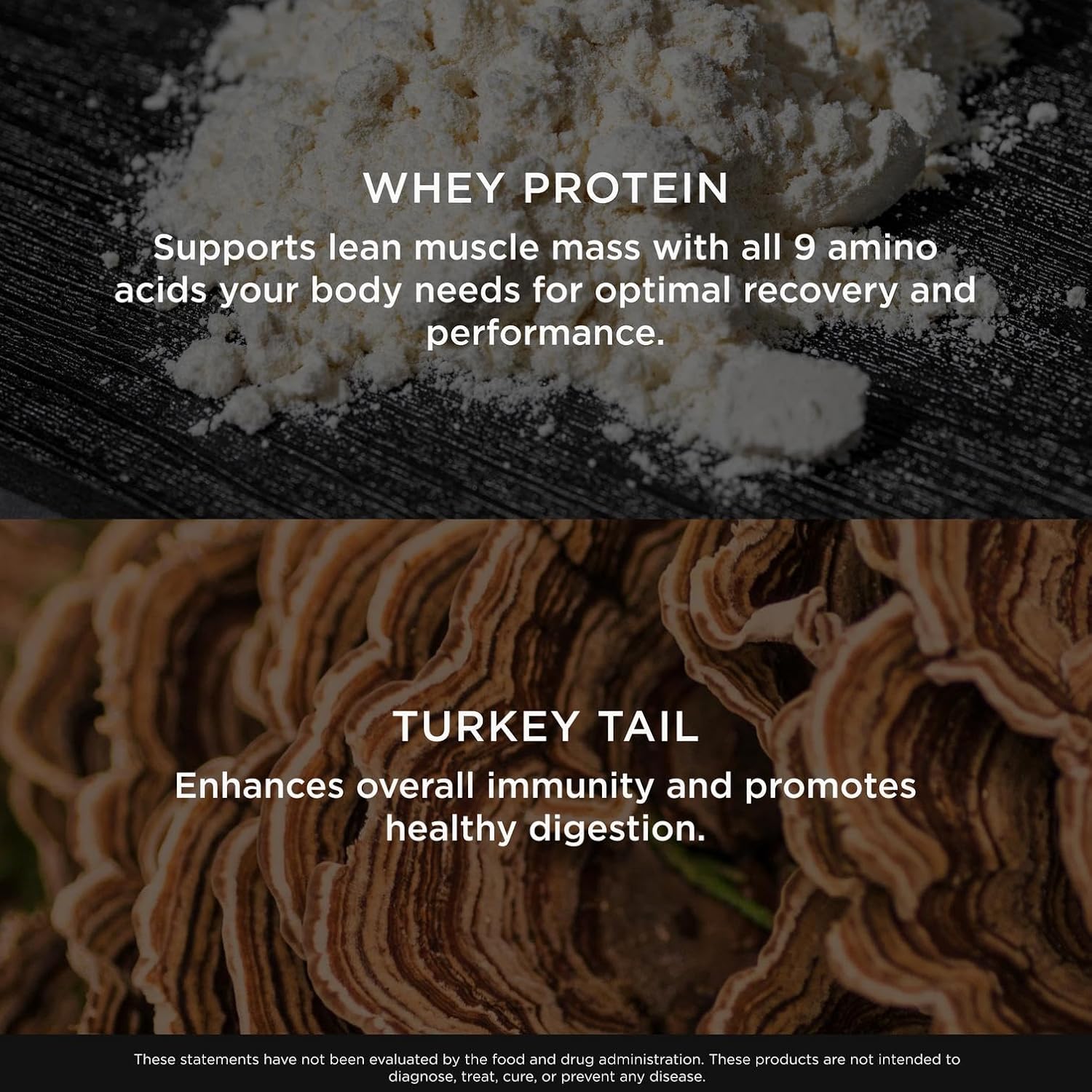 Genius Protein + Nootropic Mushroom Chocolate