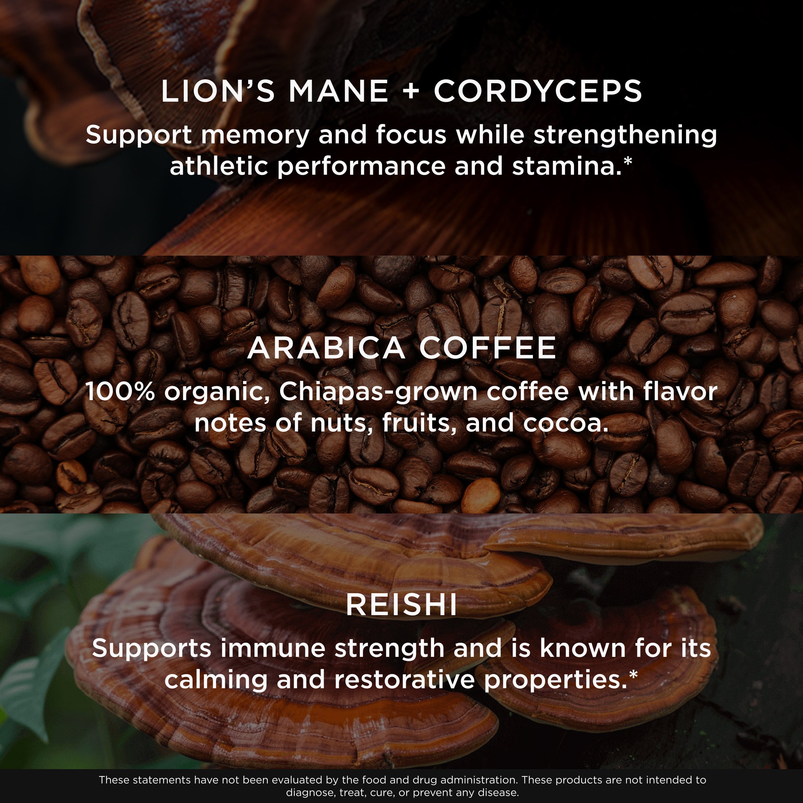 Genius Mushroom Latte to Support Focus and Vitality