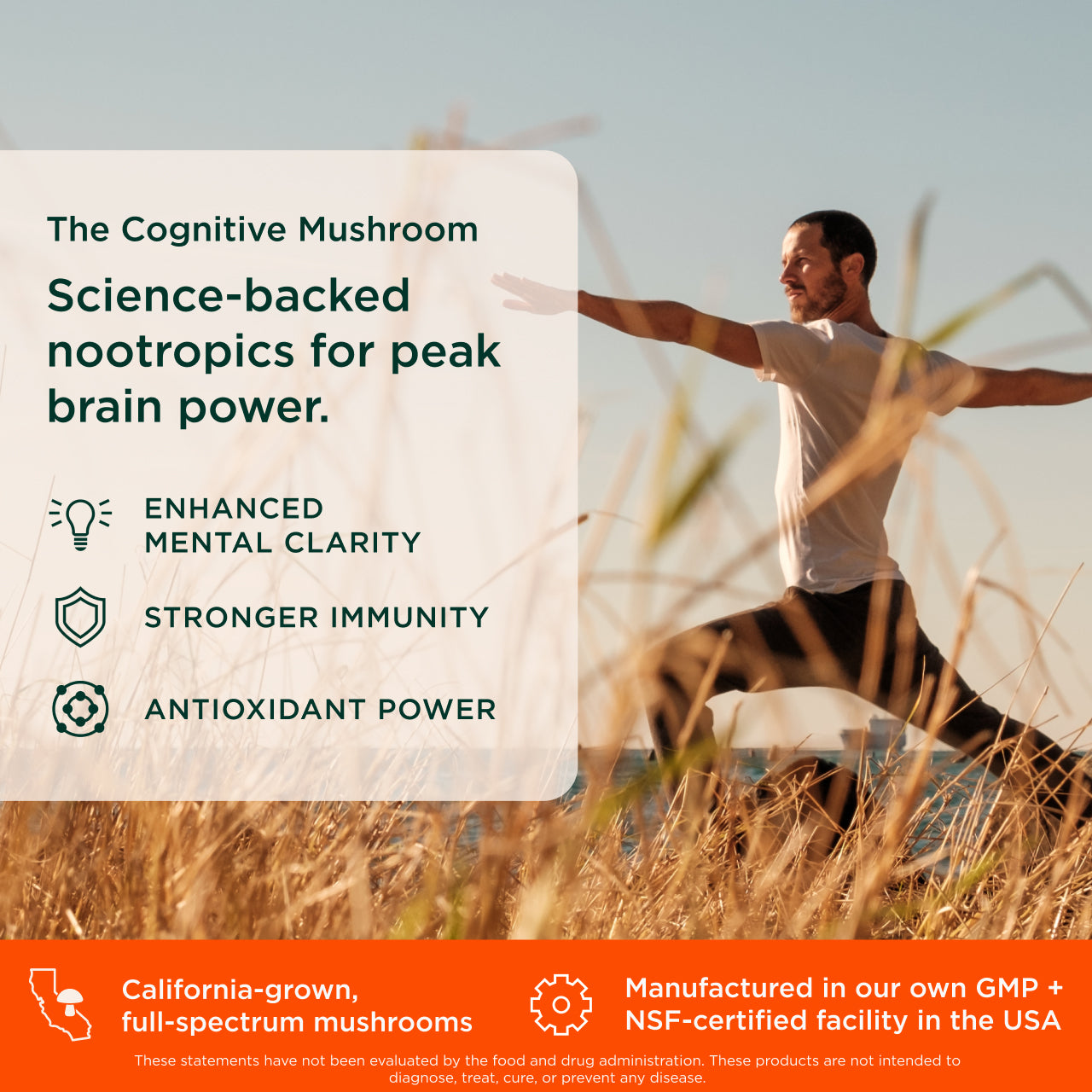 Man with dog in a field with text about cognitive mushroom science-backed nootropics.