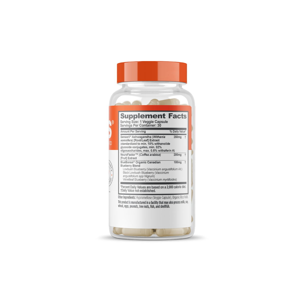 Genius Mindfulness for Focus and Stress Management