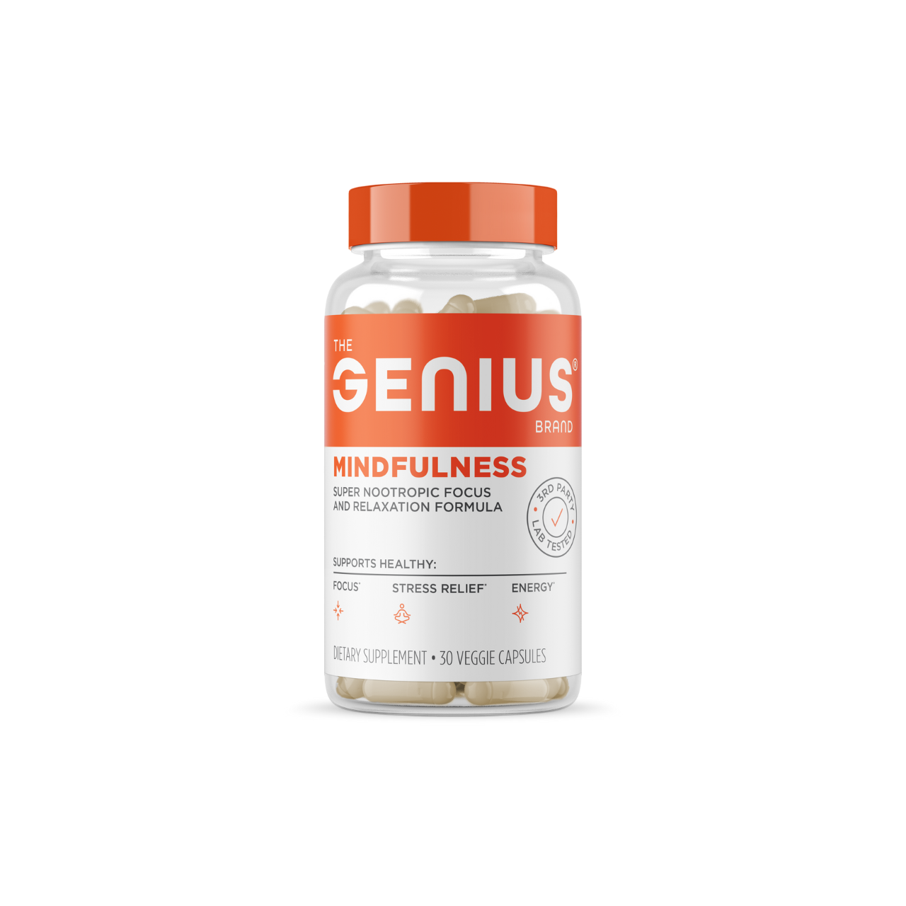 Genius Mindfulness for Focus and Stress Management