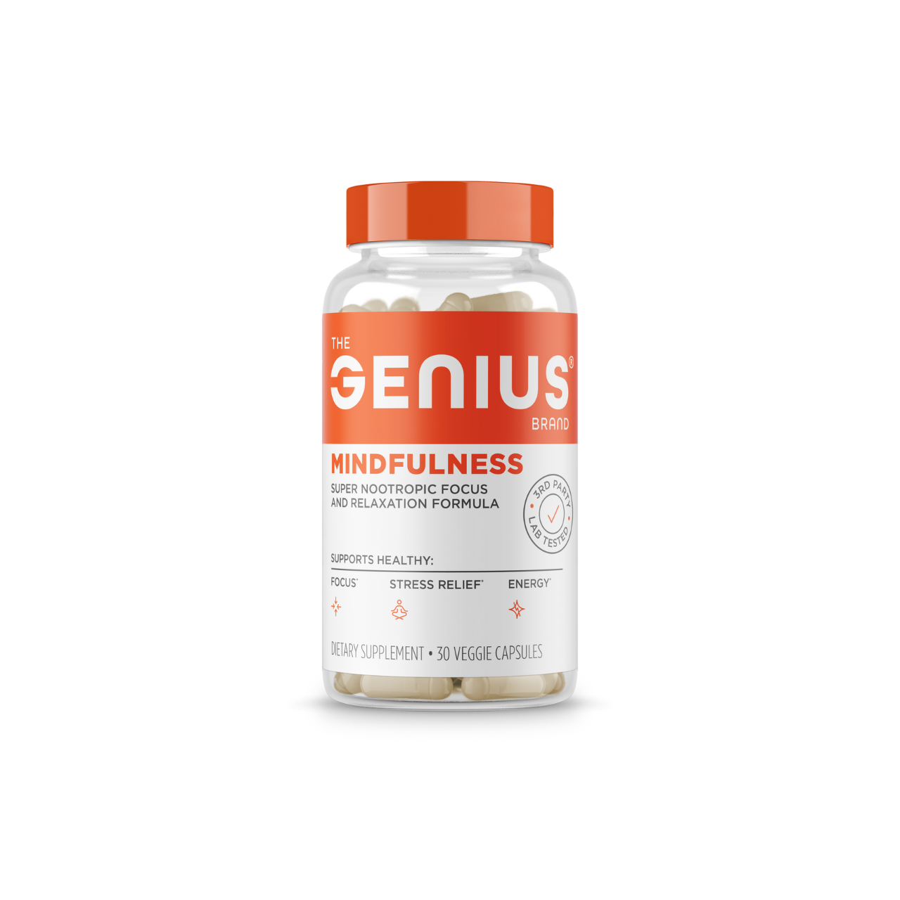 Genius Mindfulness for Focus and Stress Management