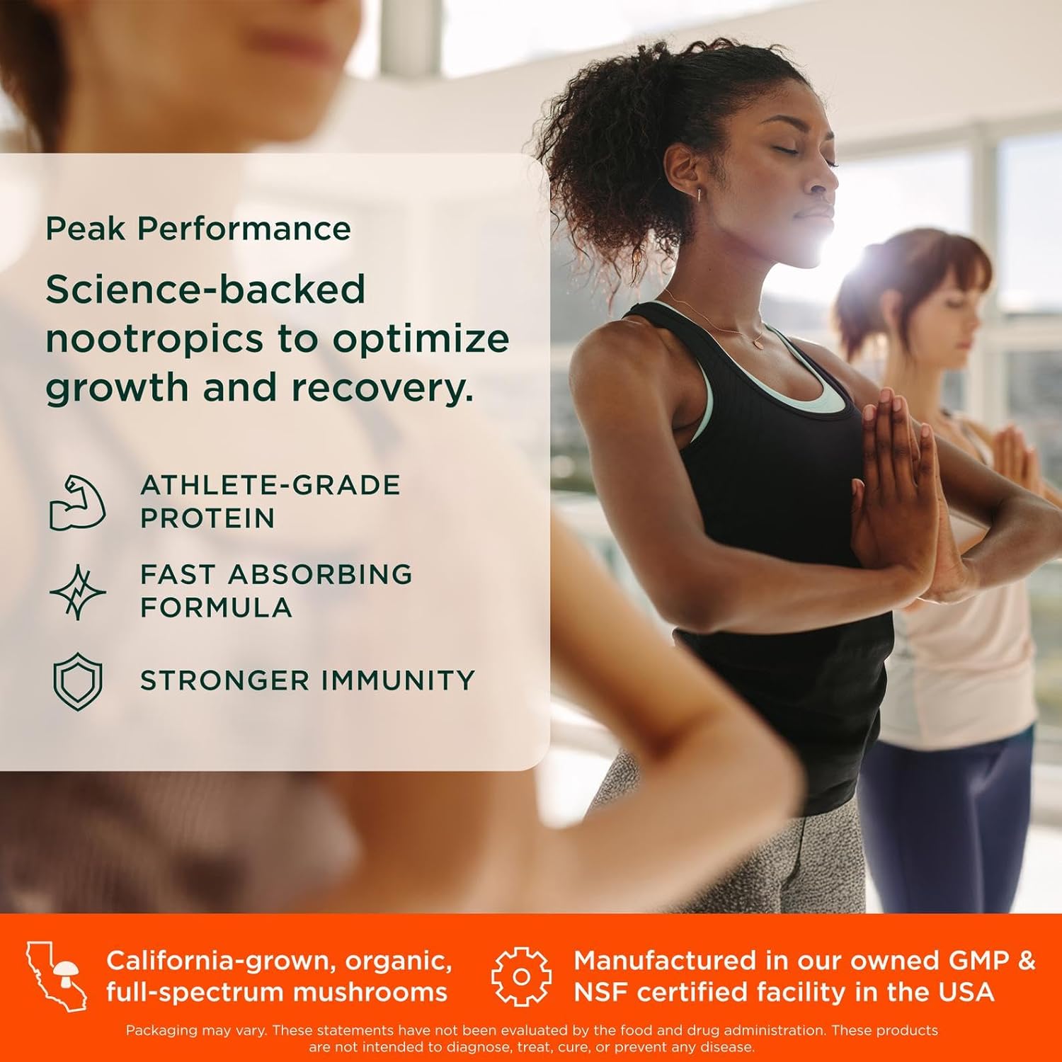 Genius Protein + Nootropic Mushroom Chocolate