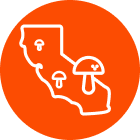 USDA Organic Mushrooms