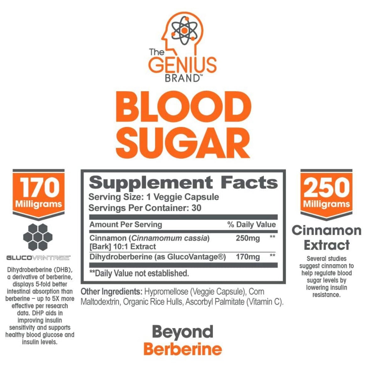 Genius Blood Sugar